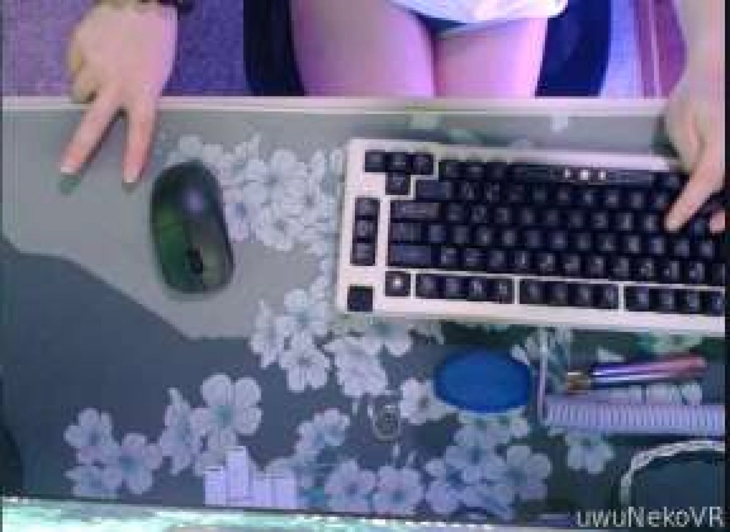 Irl cam gayming stream come join and play with neko 