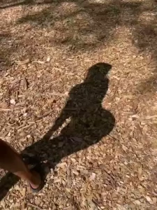 Sometimes i just need to have fun and be silly i m available all