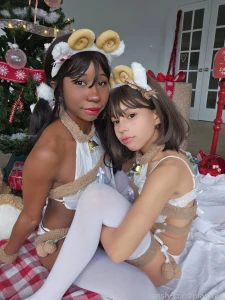 You recieved two girls festivia and chippy as your gift this year use part 8