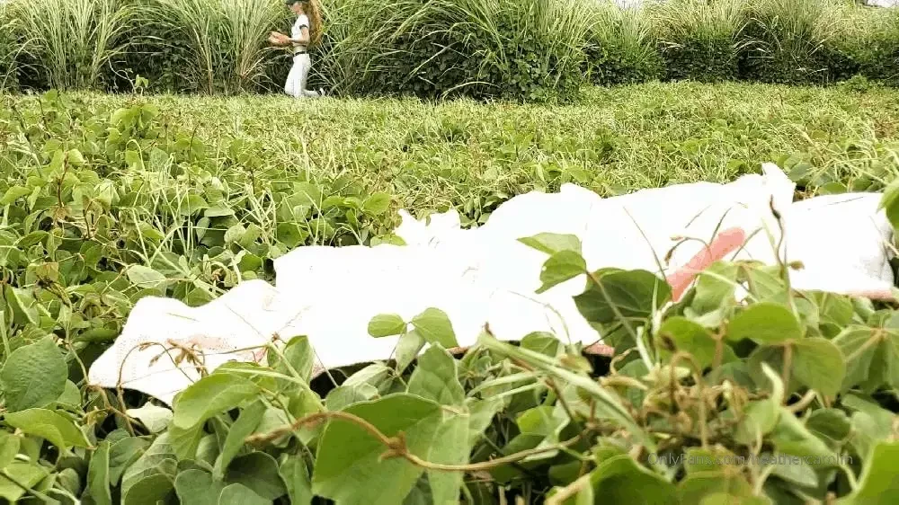 Field of redhead dreams pt3 he waited to see if she returned and she 