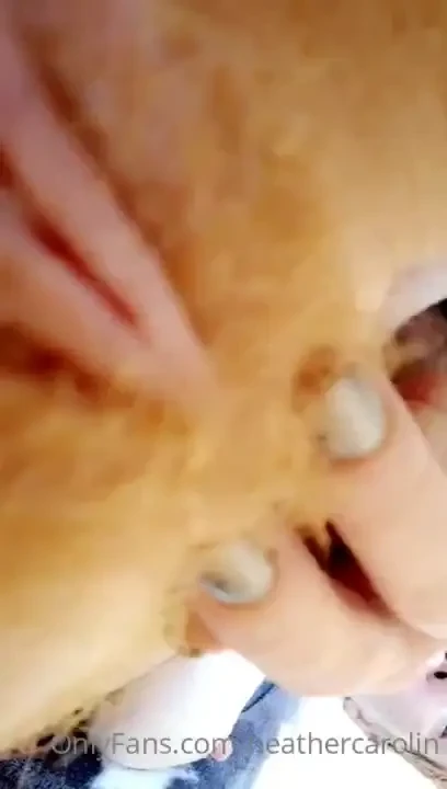 Video clip my red bush in close 