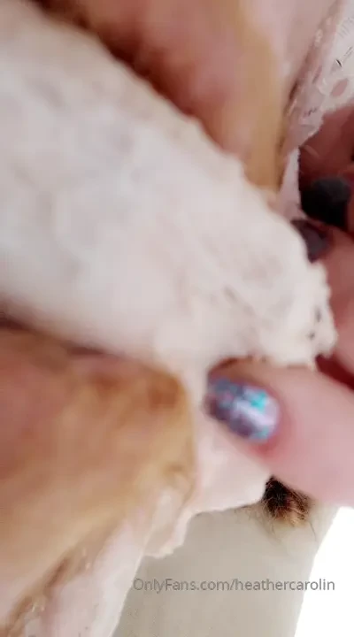 Panty and red bush pussy tease for onlyfans com heathercarolin members 