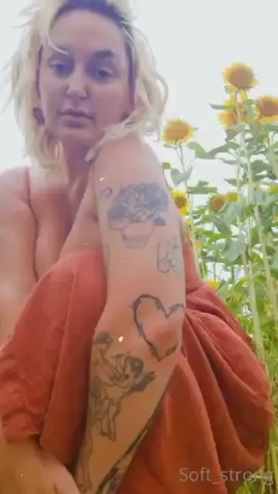 Can we play hide and seek in the sunflower field 