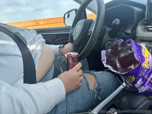 Essential road trip snacks how much should i eat on the drive home part 1