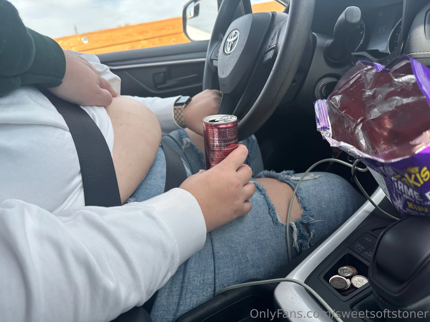 Essential road trip snacks how much should i eat on the drive home part 4 