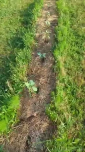 A farmers job is never done