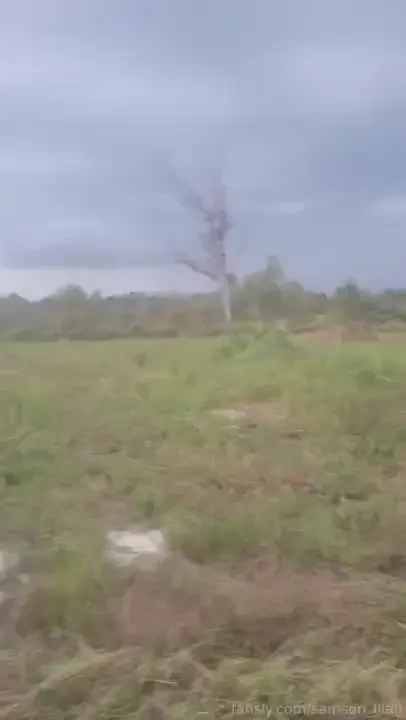 Cannabis edibles and tractor work what type of music you you like to 