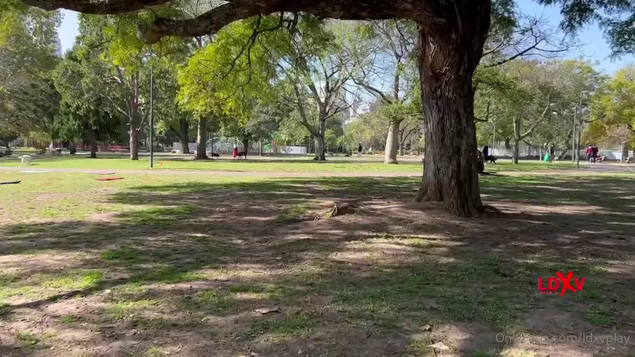 Nuevo video recuerden que este video es un regalo extra a n quedan dos 