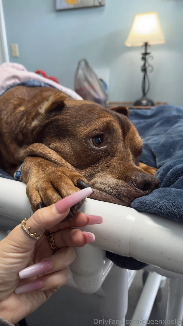 Hey everyone i want to take a moment to talk about why i have been mia 