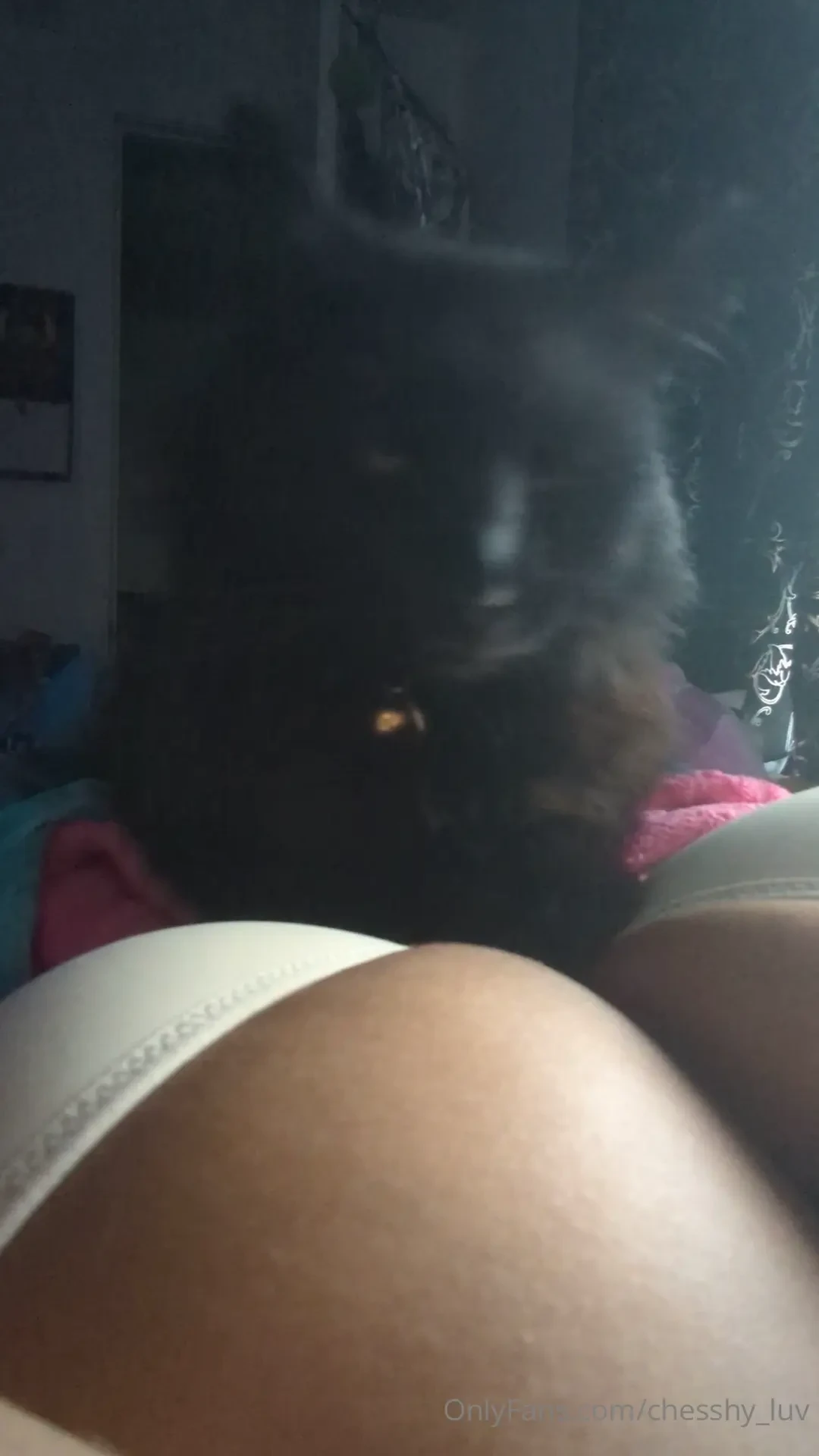 Good morning part 33262 