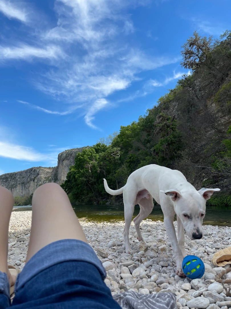 Happy easter if you celebrate some pics from an adventure ghost and i part 7 