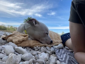 Happy easter if you celebrate some pics from an adventure ghost and i part 9