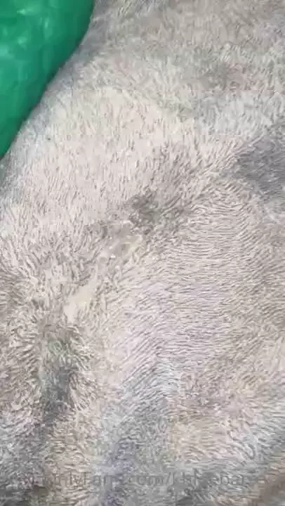 I stuff my pussy full of this cock that doesn t compare to yours your 