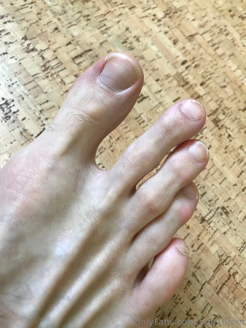 An oldie but a goodie closeup 