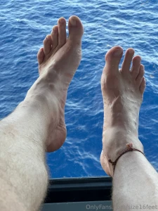 They look so good against the blue