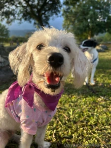 Hanging out with my puppies part 1