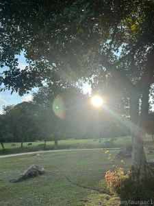 Hanging out with my puppies part 2