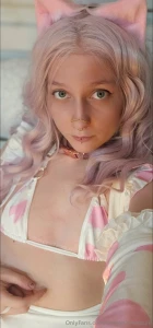 Good morning master i have my collar on and i m ready for my walkies