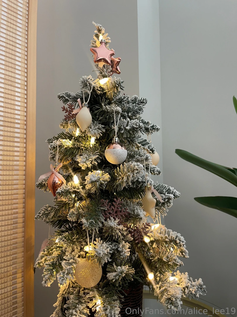 Merry christmas eve i hope you have a happy holiday 