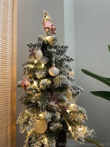 Merry christmas eve i hope you have a happy holiday