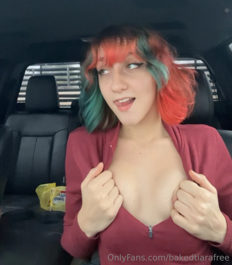 I promise i ll be the best passenger princess 