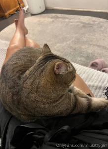 A cozy evening with my furry friend