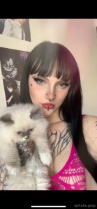 Meet luffy the next king of the pirates