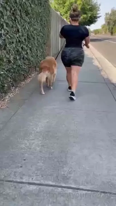 Where would you be walking 