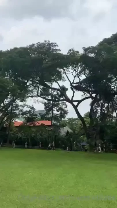 Went to the istana where the sg president resides amp important 