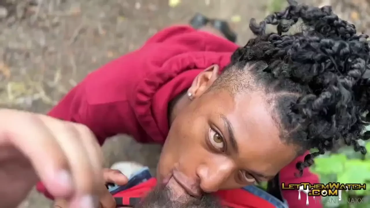 Wood in the woods what more can i ask for 