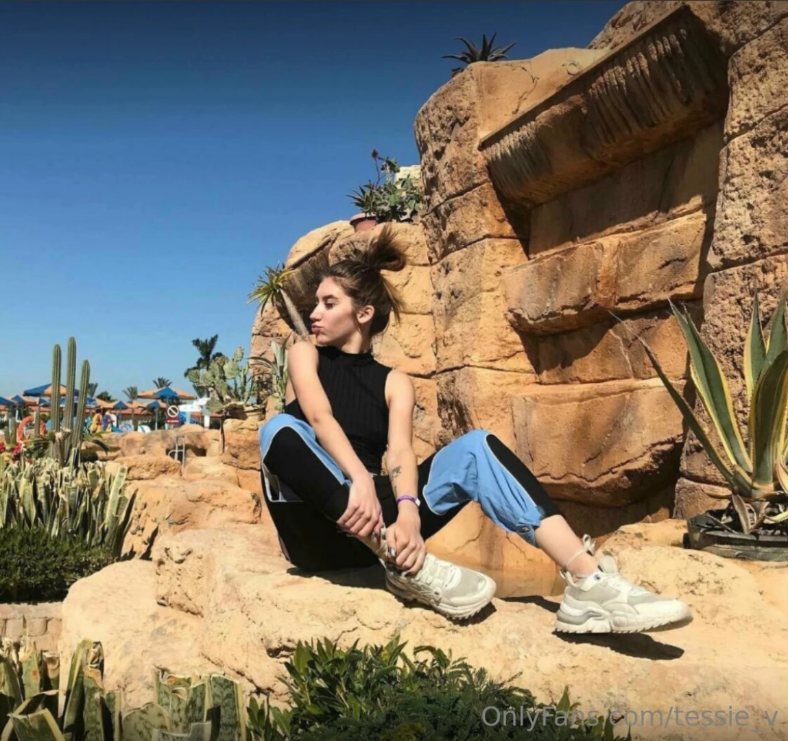 Amidst the enchanting dance of cacti where the desert whispers secrets 