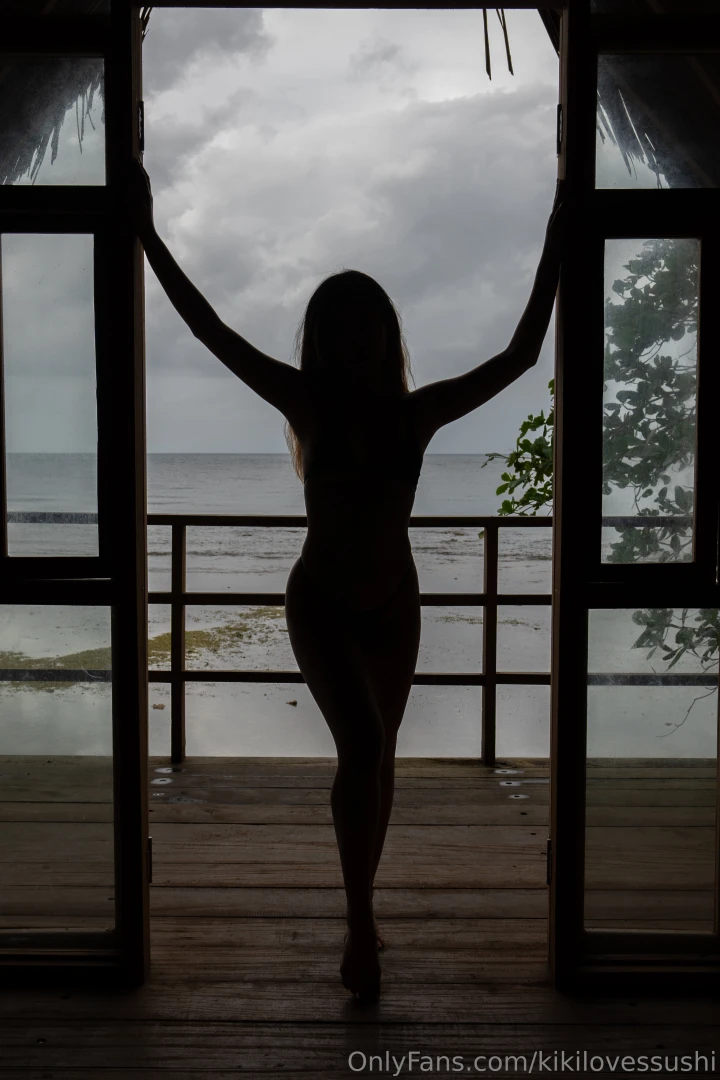 Would you recognize my silhouette 