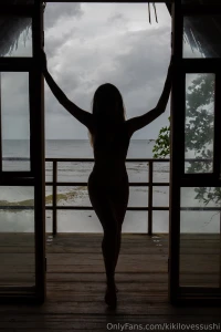 Would you recognize my silhouette