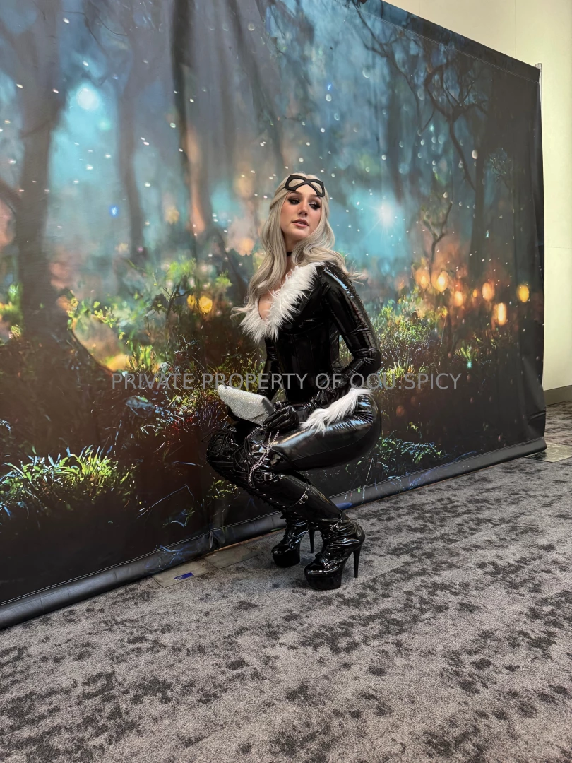 Cat-ch me if ya can spidey 