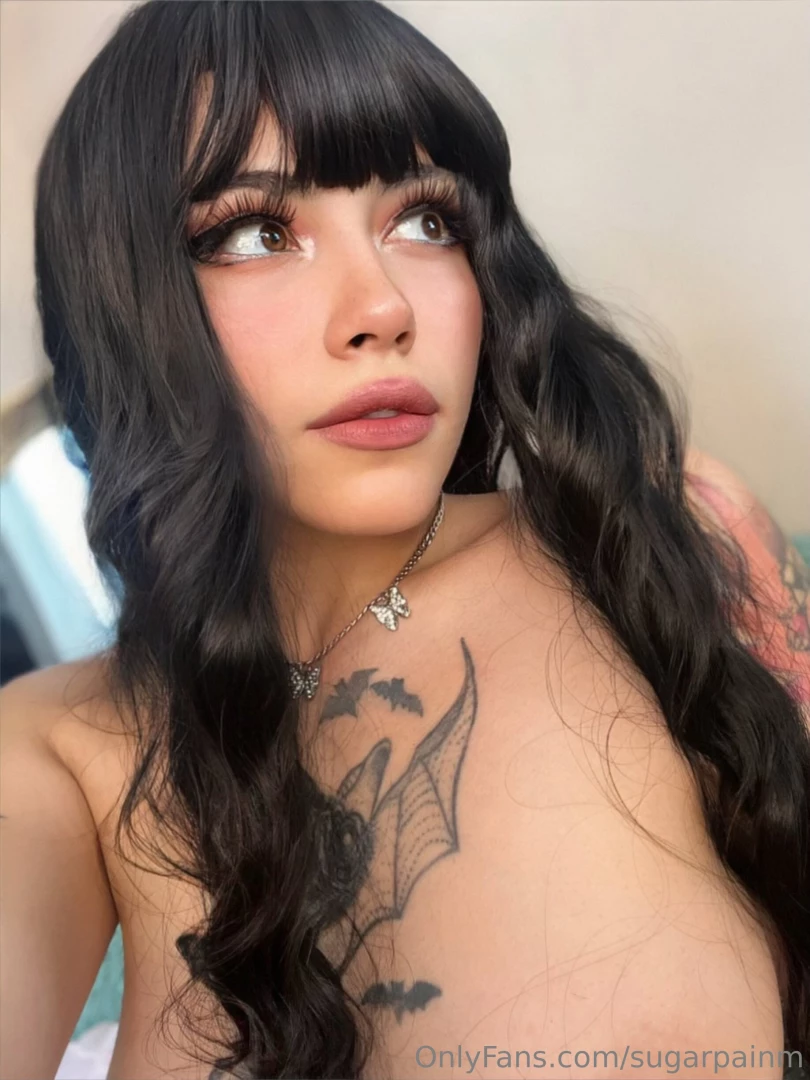 Sugarpainm part 338352 