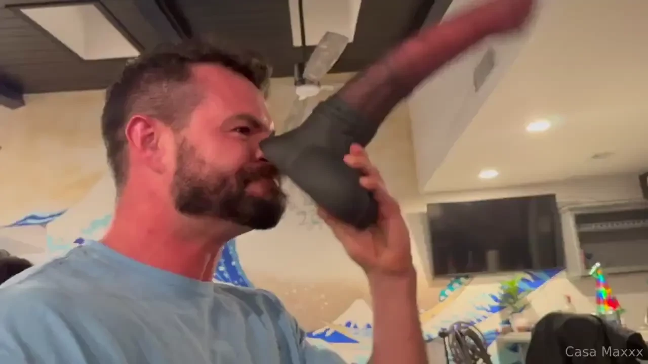 What s an elephant s favorite part of a tree the trunk just a little 