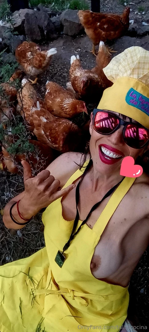 Mis amigas las gallinas lagranjadetalita part 7 