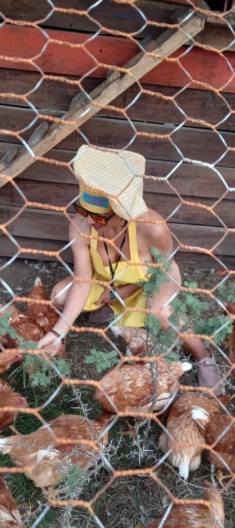 Mis amigas las gallinas lagranjadetalita part 11 