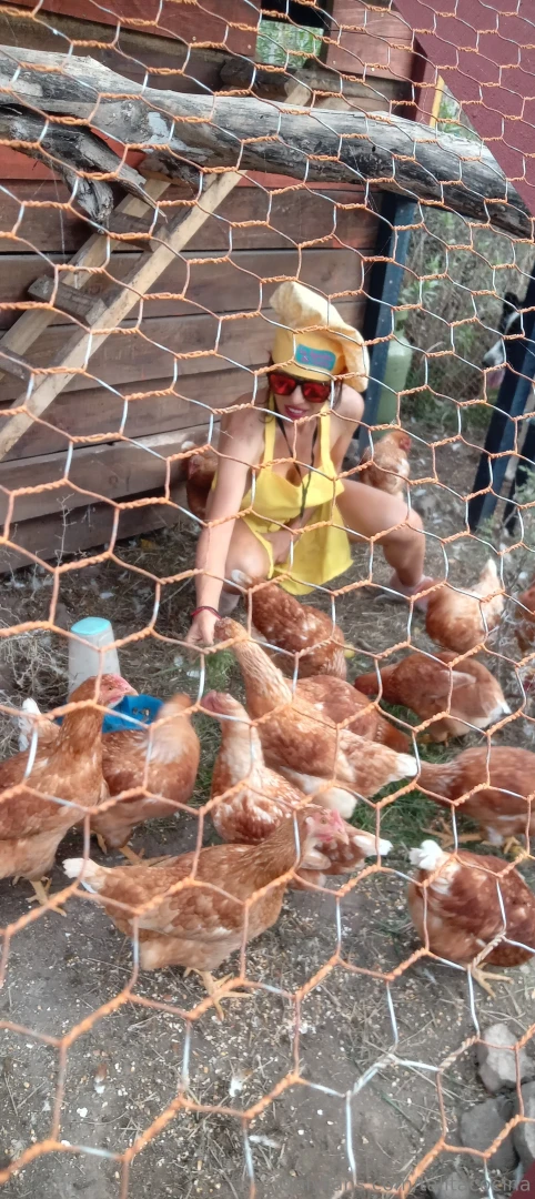 Mis amigas las gallinas lagranjadetalita part 3 