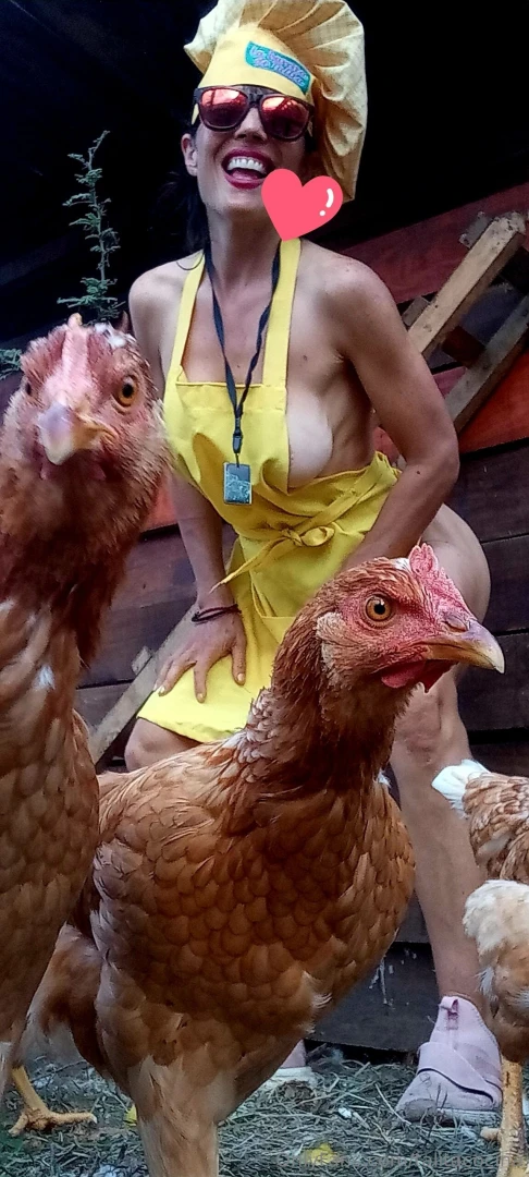 Mis amigas las gallinas lagranjadetalita part 2 