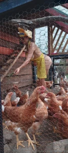 Mis amigas las gallinas lagranjadetalita
