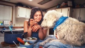I am so excited for tomorrow s video our dog-safe borscht turned out