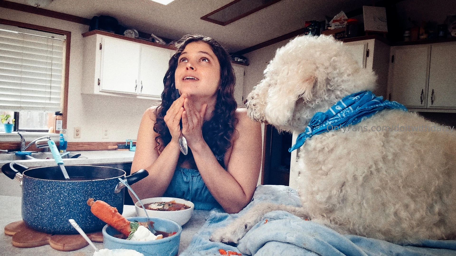 Good morning everyone the long-awaited release of our dog-safe borscht 