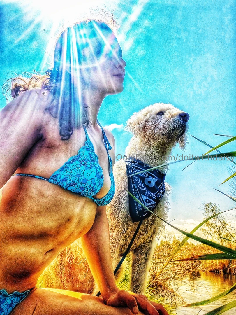 When you re training your dog or your body you need to stay within 