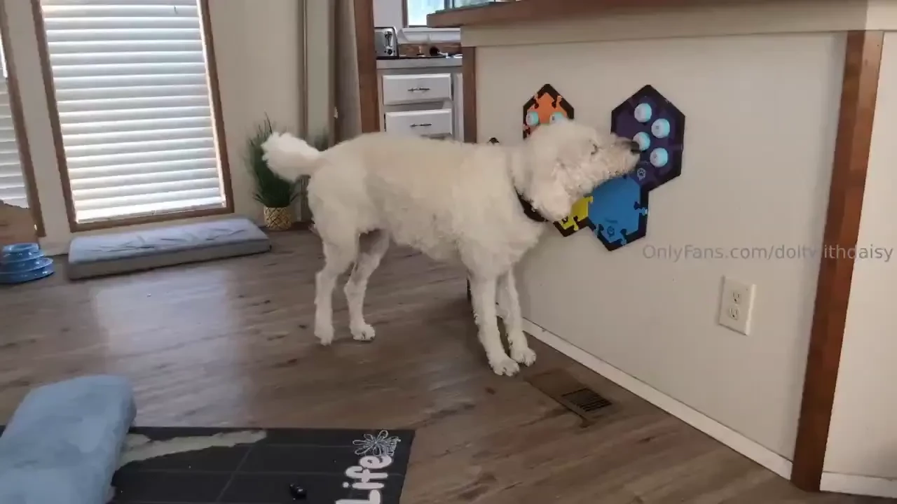 Sometimes i am not decisive at all good thing waffles keeps our 