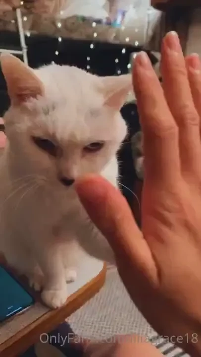 My little miss marsh isn t doing so well and although it breaks my 