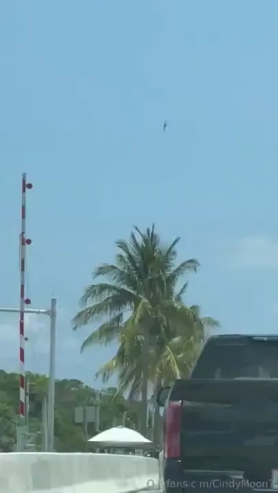 Thanks for the big turnout tonight i know onlyfans plays with the part 8 