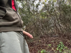 Out for a walk and a wank part 2