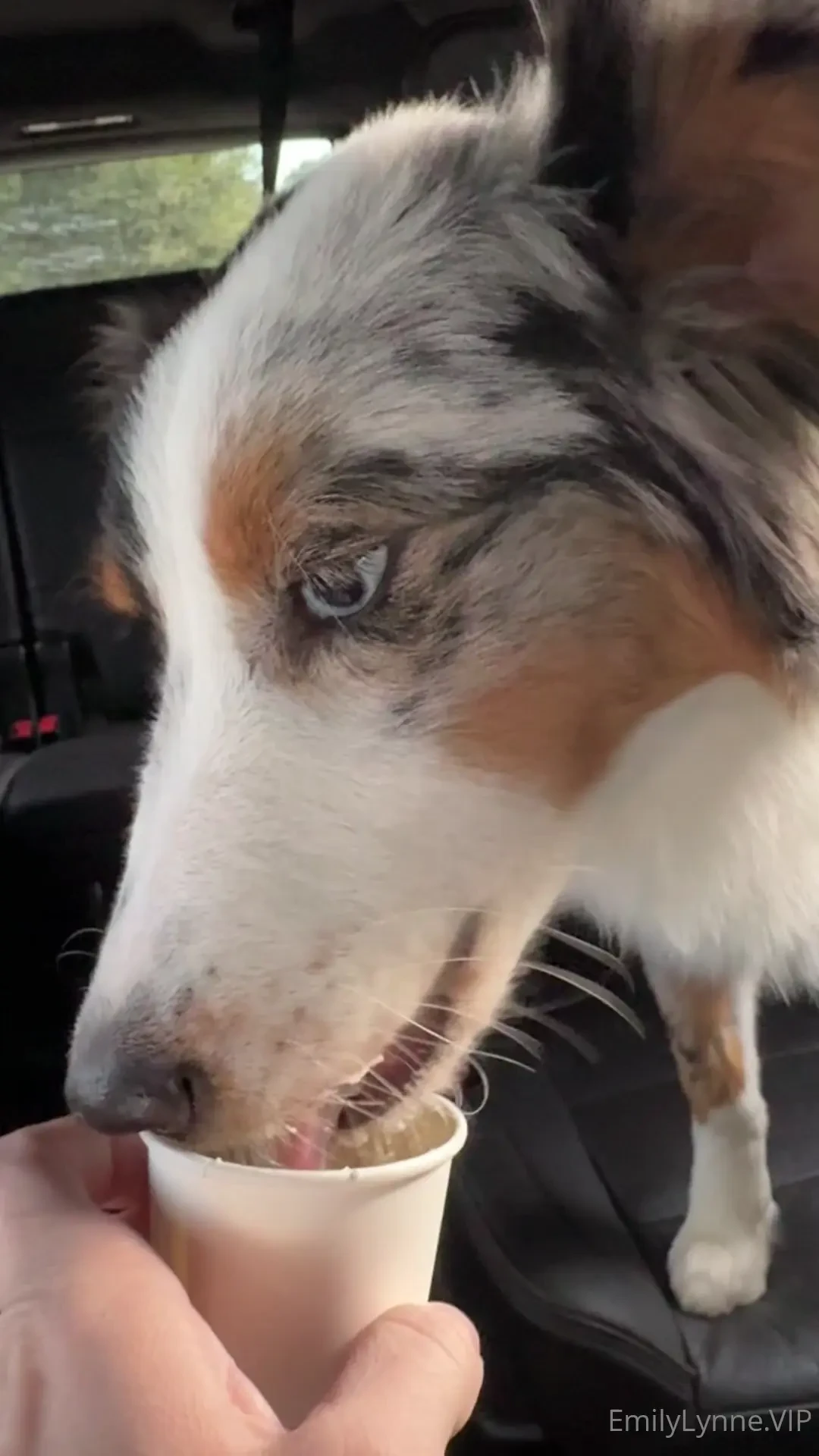 Buy your girlfriend a coffee club uhm do you want to get coffee with 