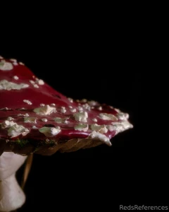 Huzzah day 1 of sharing my self-made designs here be my mushroom hat part 1